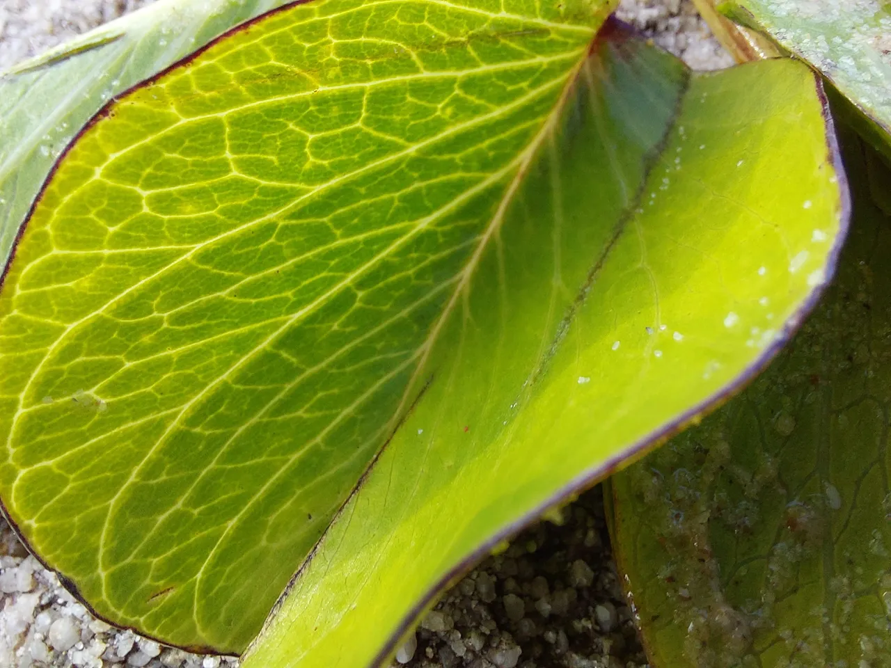 20220904_152732.jpg