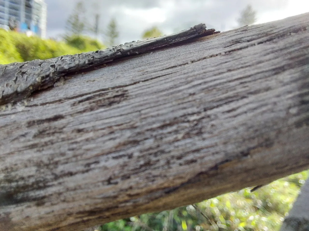 20220904_153805.jpg