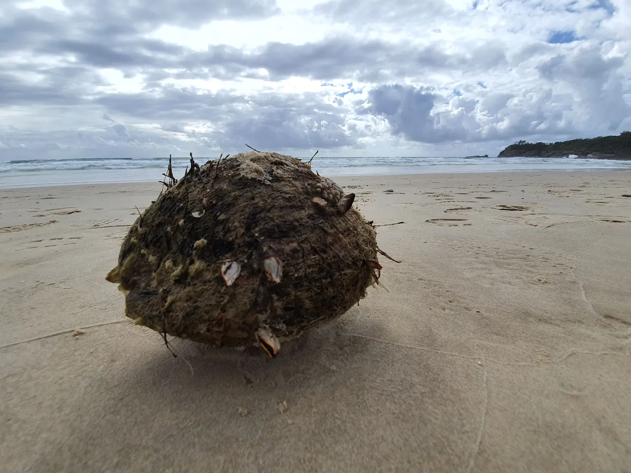 20220129_075637.jpg