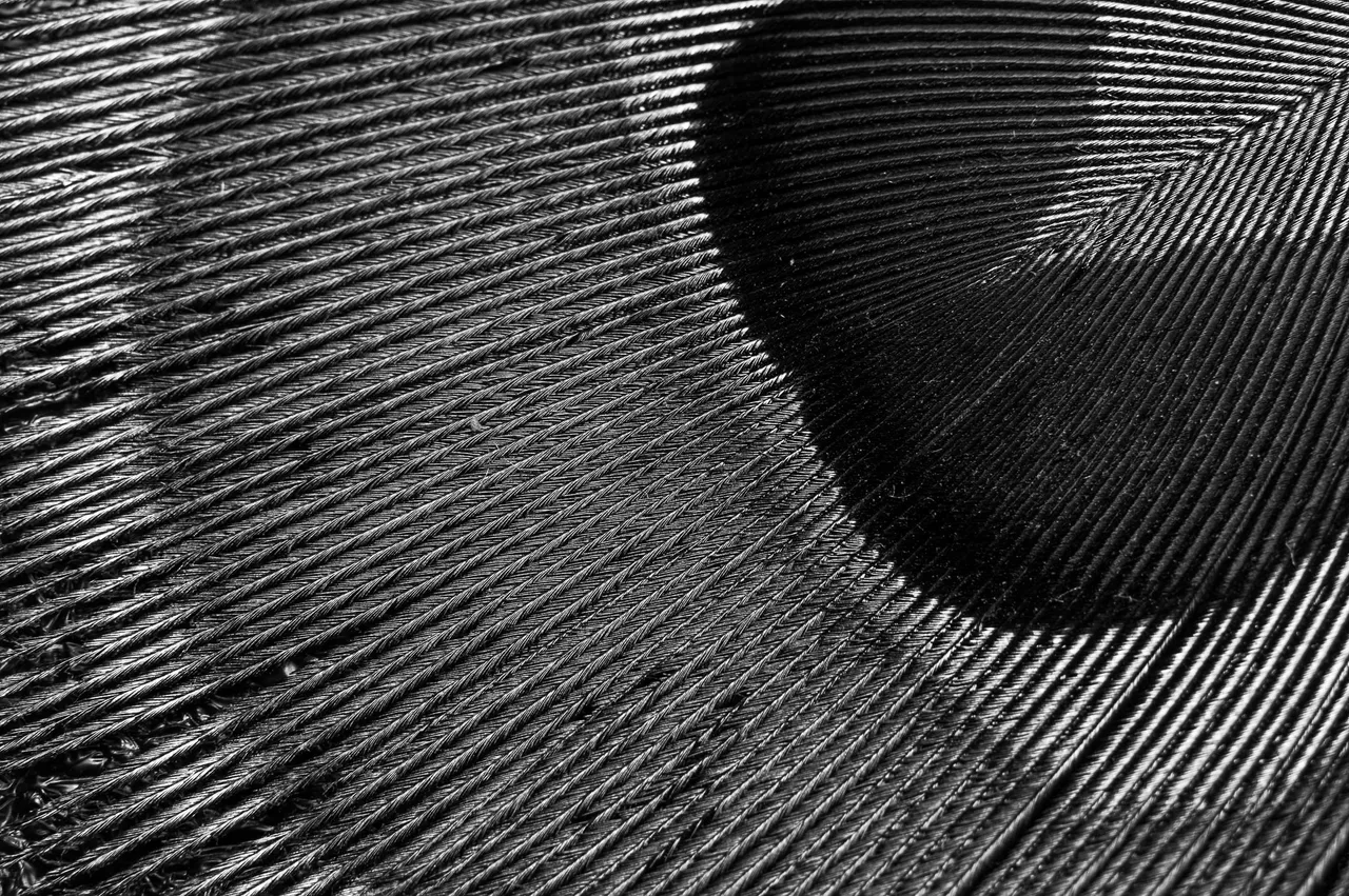 0020IMGP1310lvDecember 30, 2018.jpg