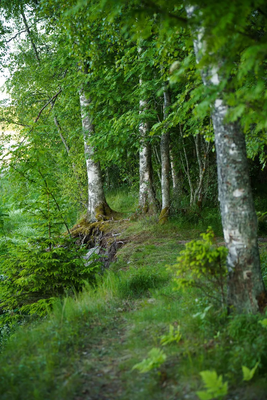 0011cc12Jun23IMG06323.jpg