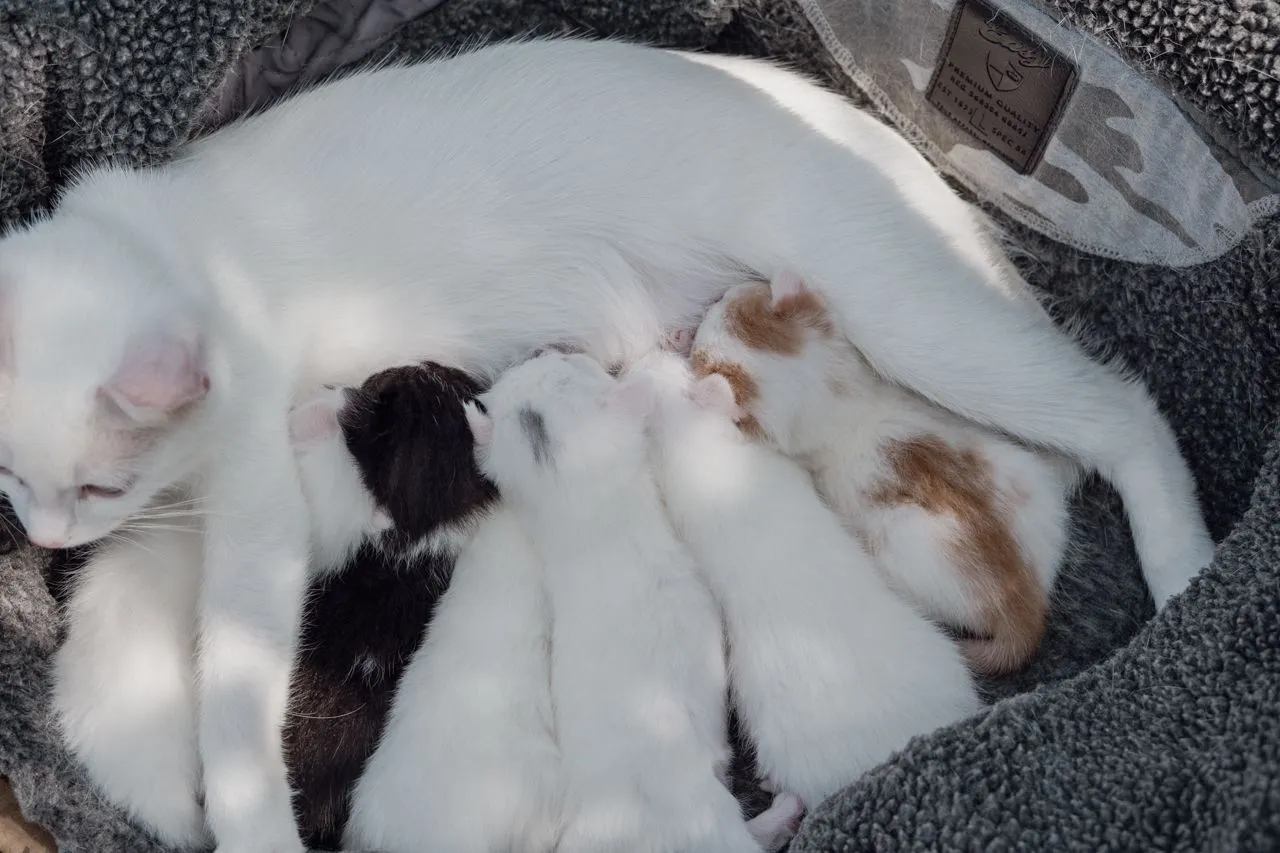 DSCF8070.jpg