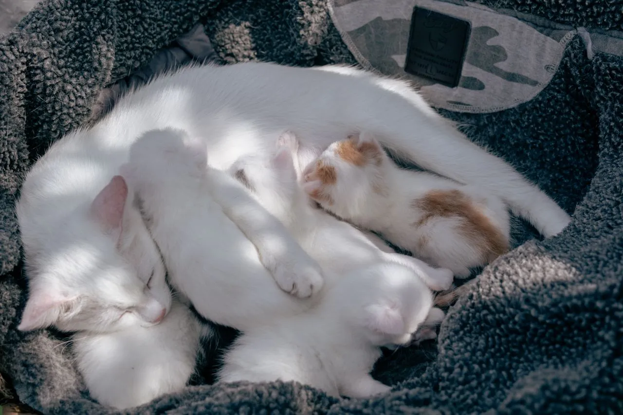 DSCF8068.jpg