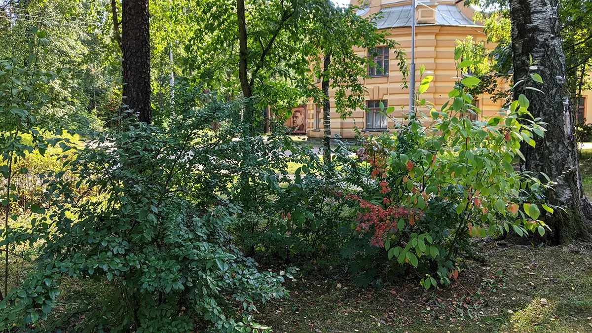 PXL_20220827_113238124.jpg