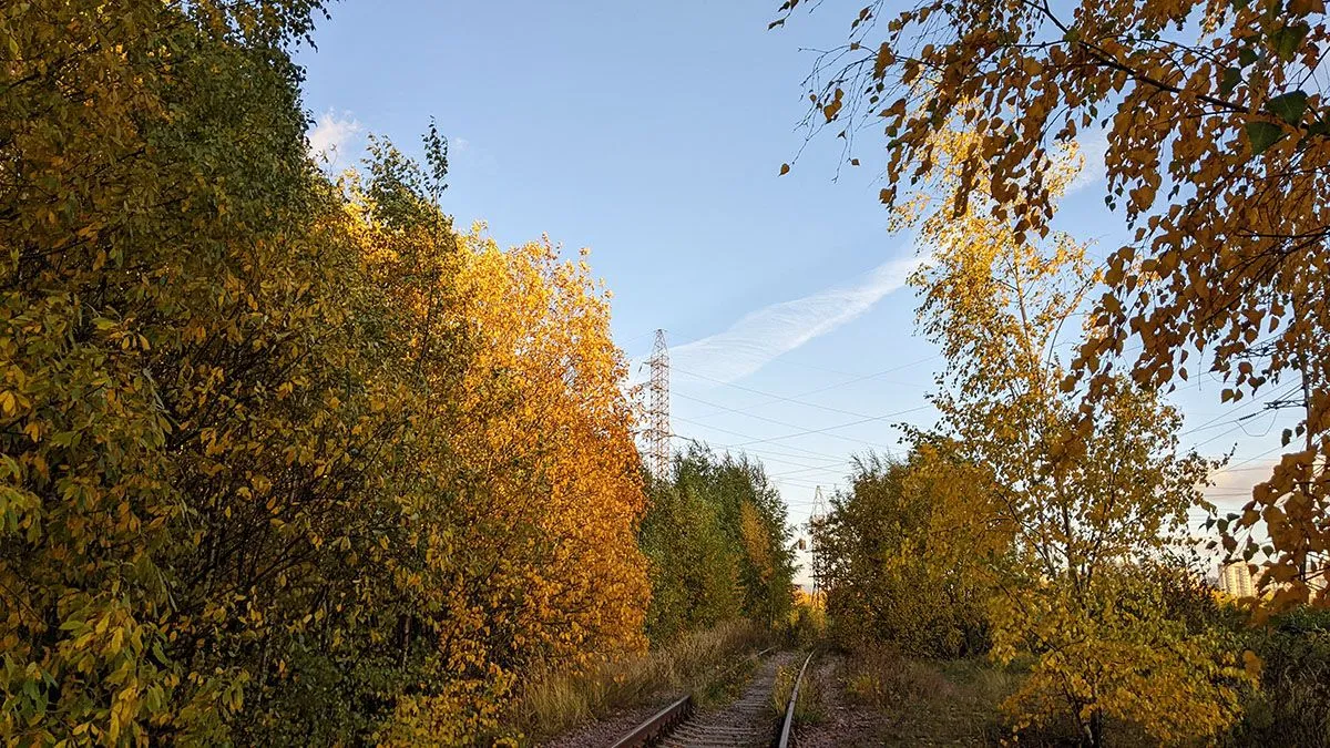 PXL_20221010_135808214.jpg