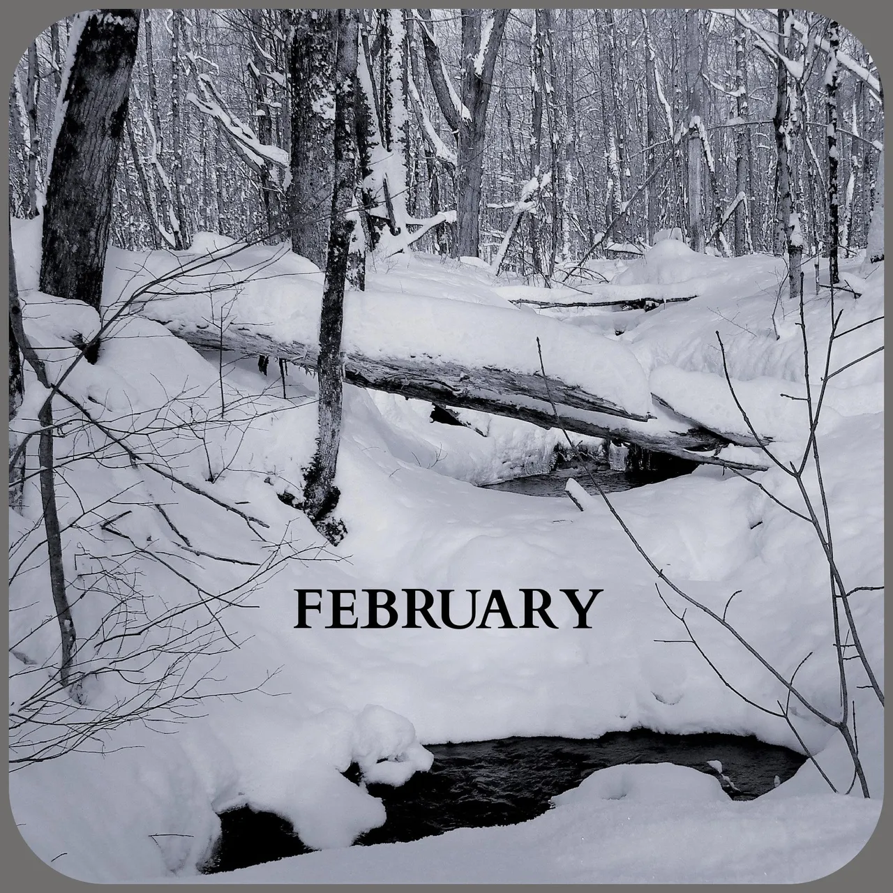 FEBRUARY.png