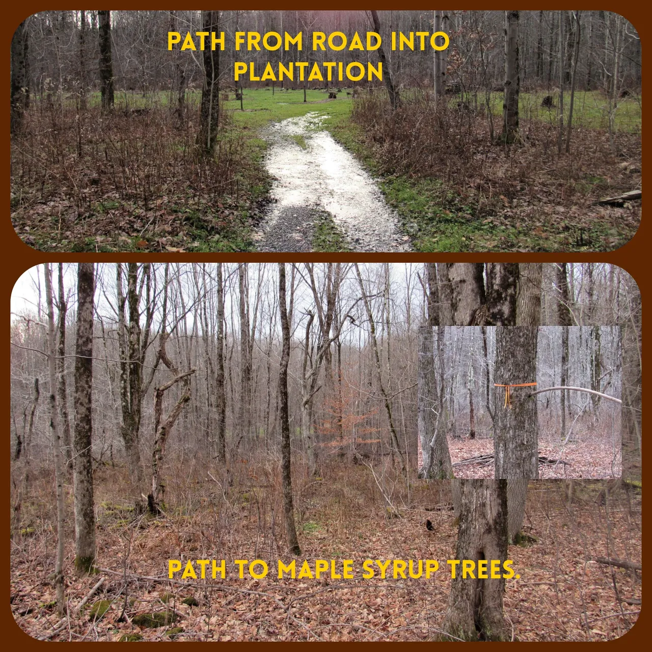 path.png
