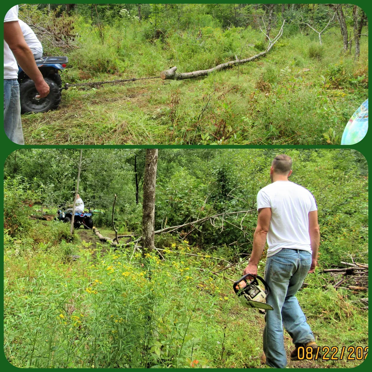 pulling wood.png