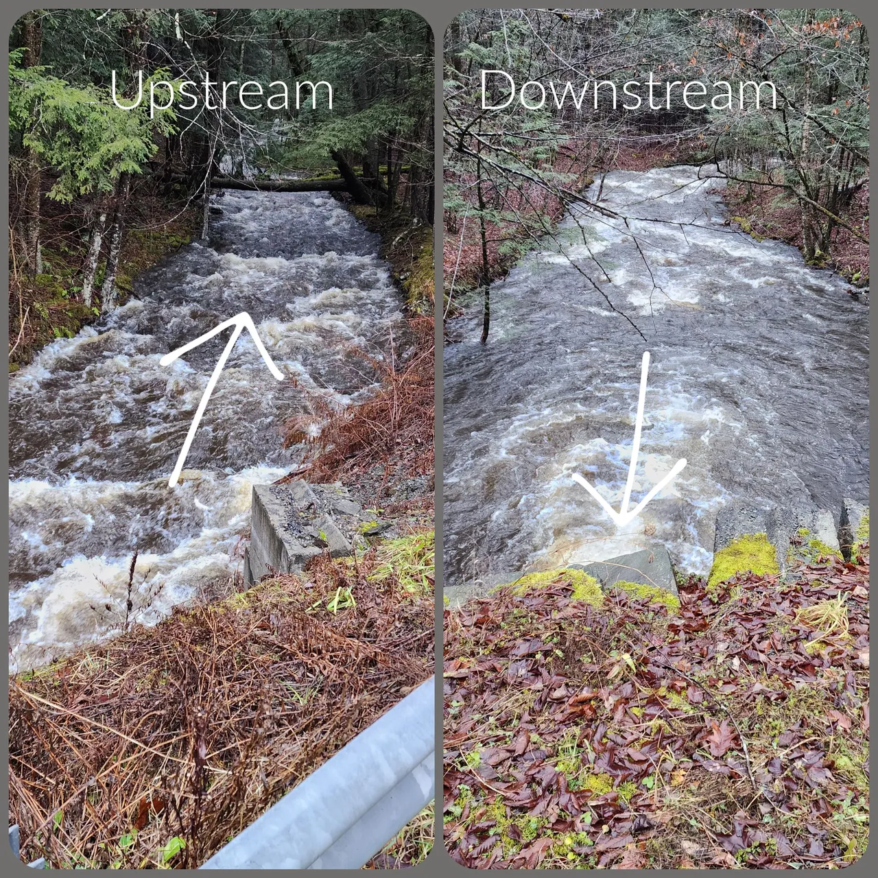 up downstream.png