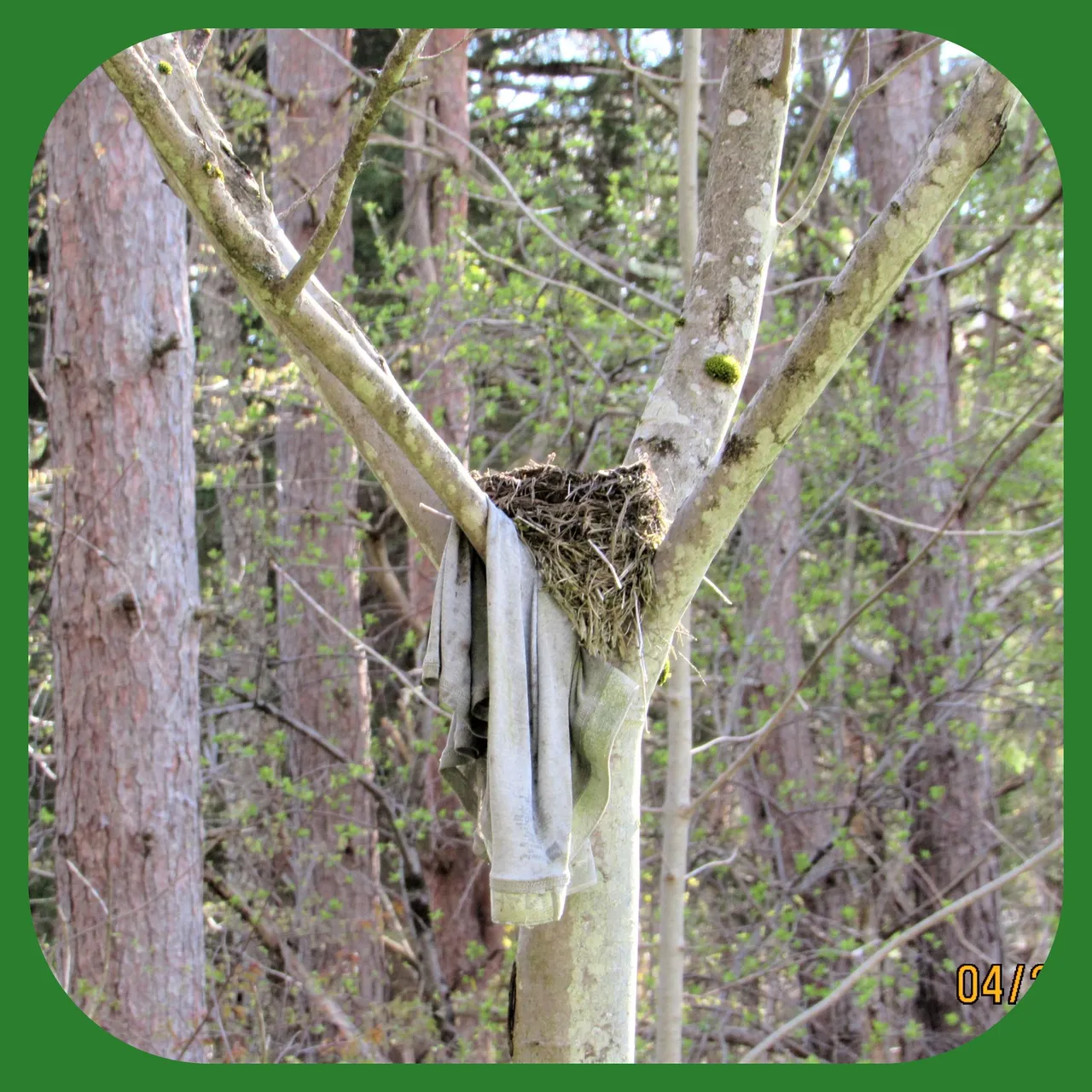 UNDERWARE NEST.png