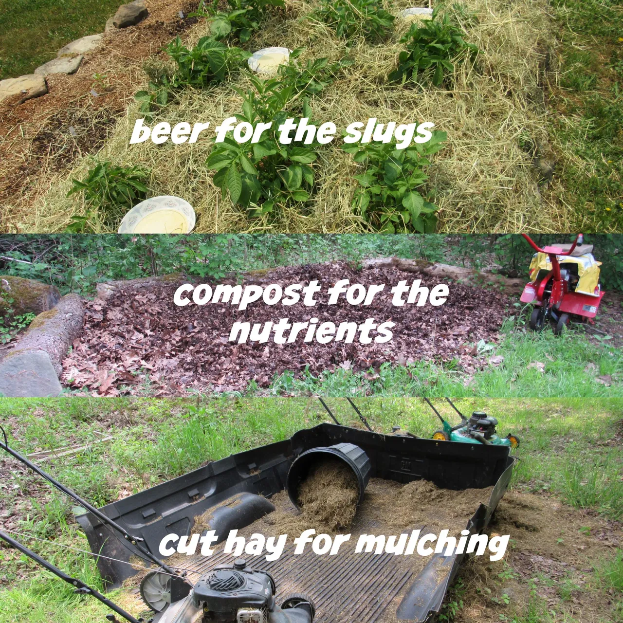 beer for the slugs.png