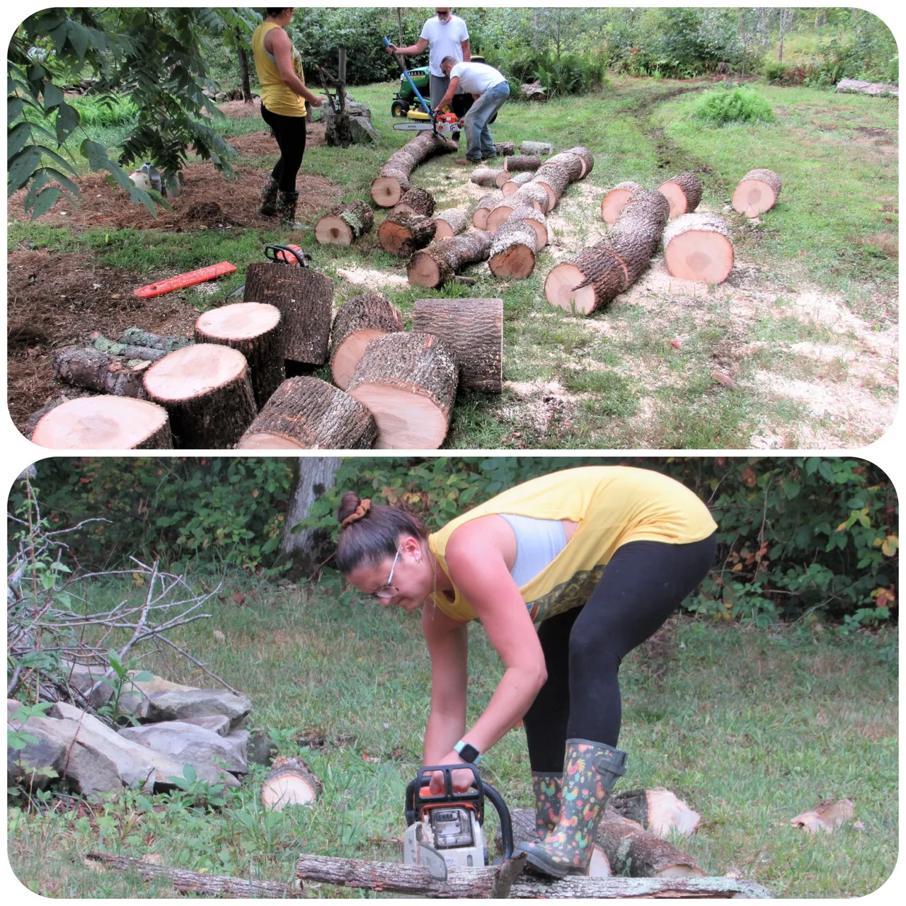 cutting wood.png