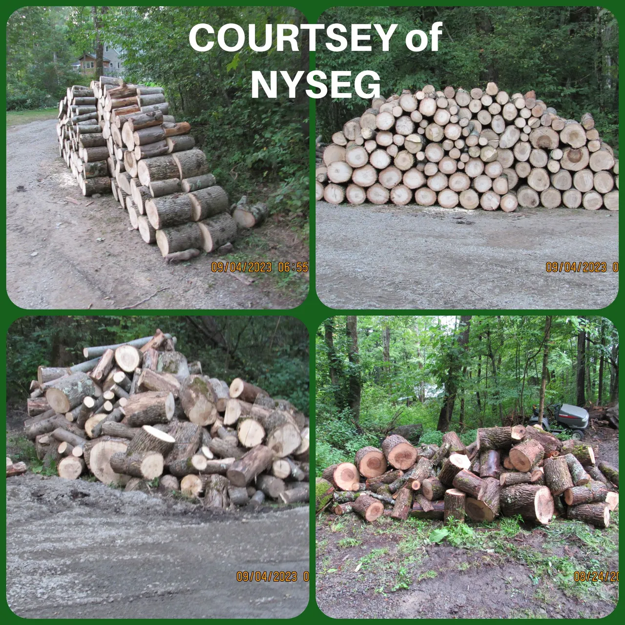 COURTESY OF nyseg.png