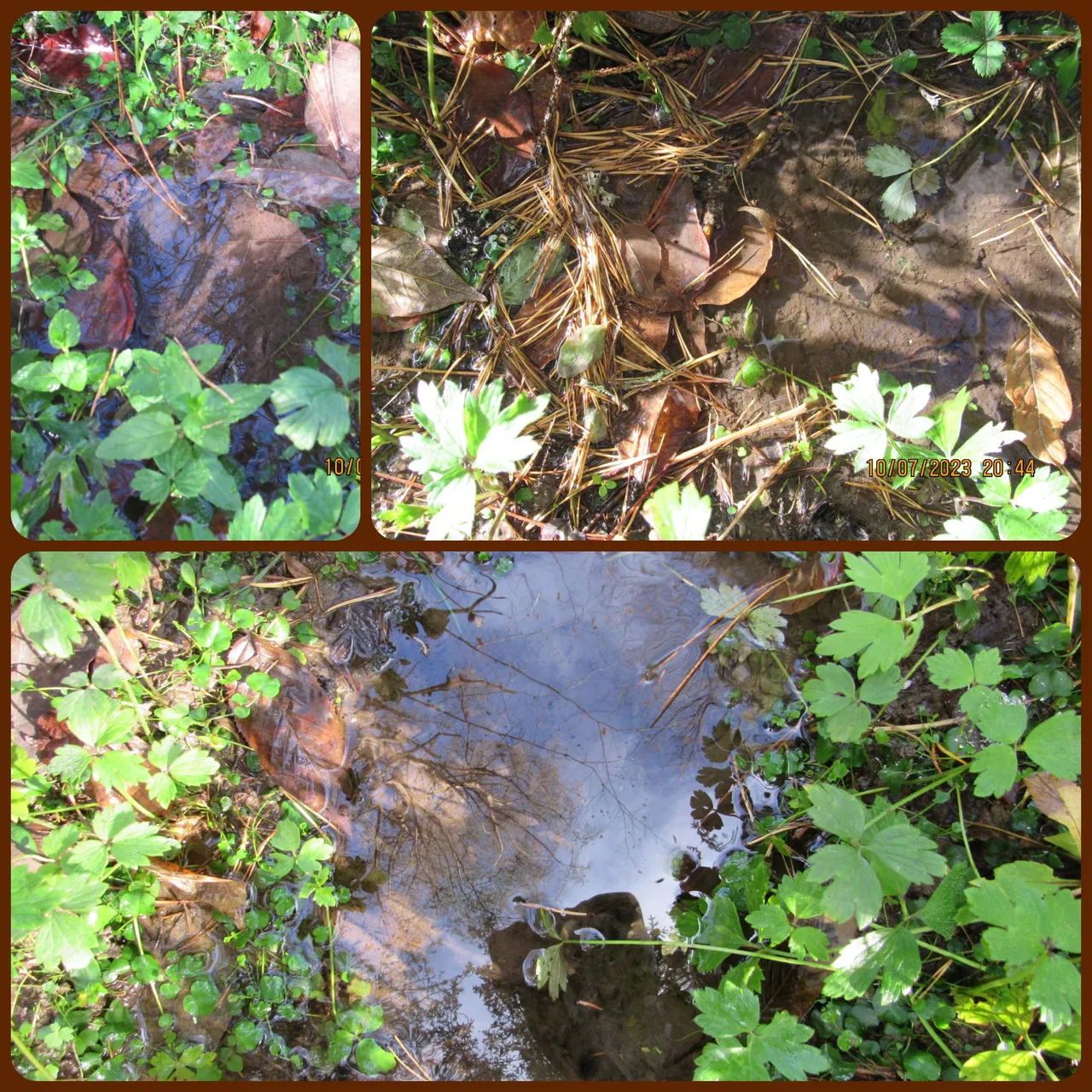 surface runoff.png