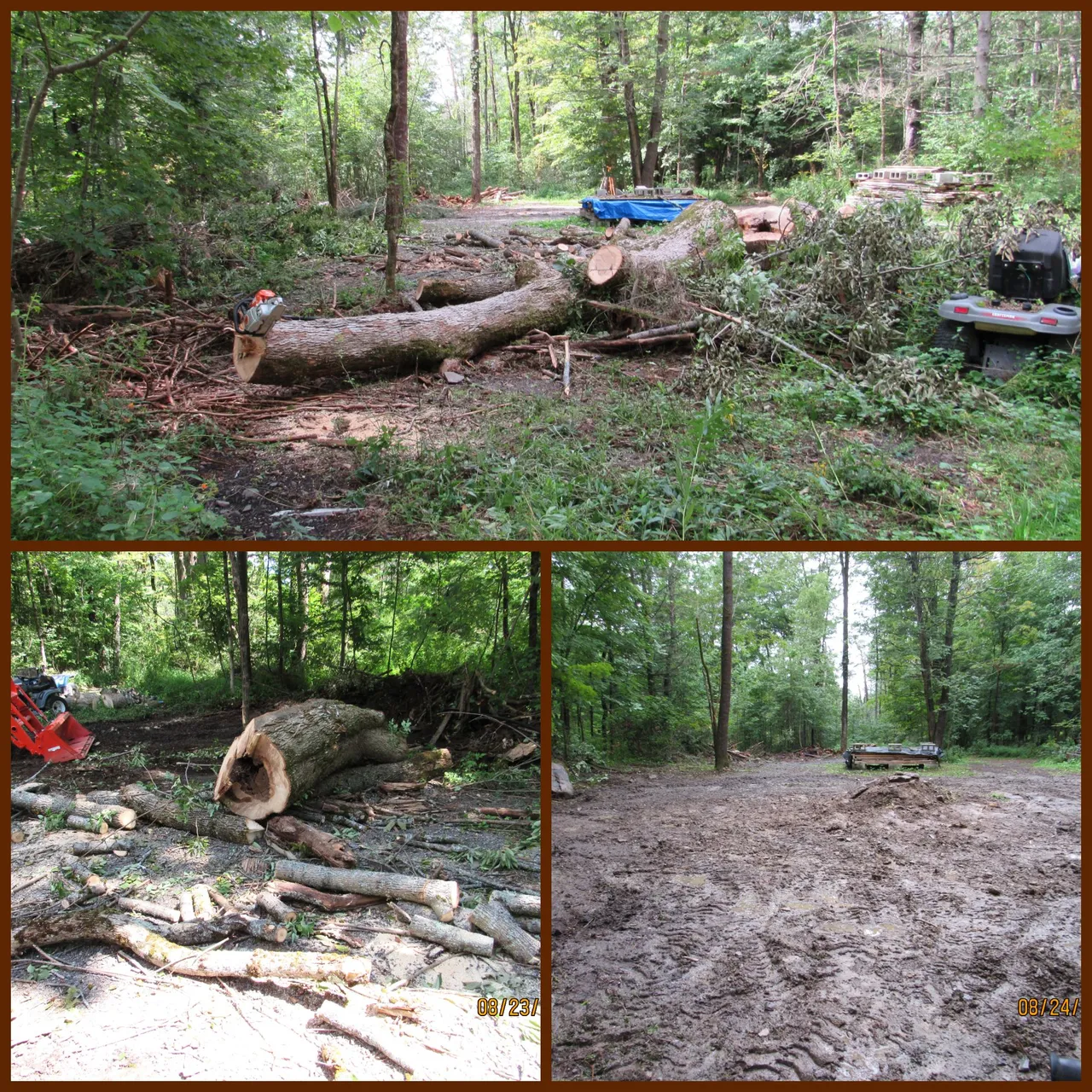 down tree cleanup.png