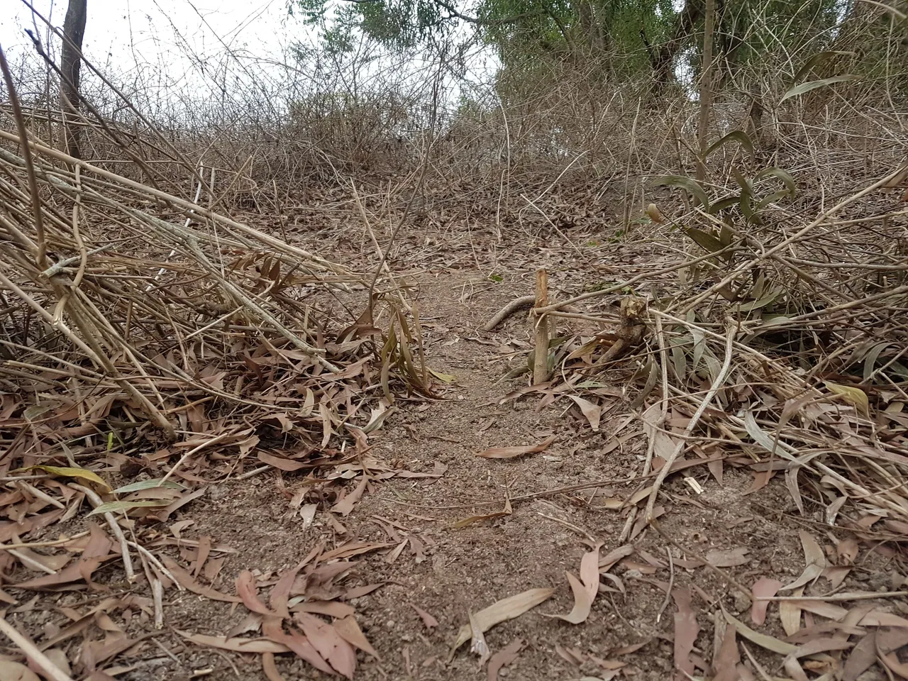 20190512_151856.jpg