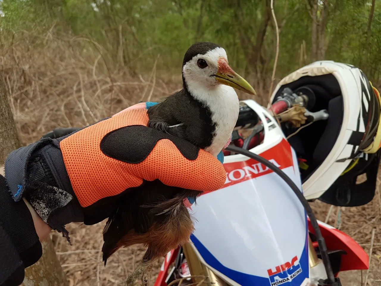 20190512_152304.jpg