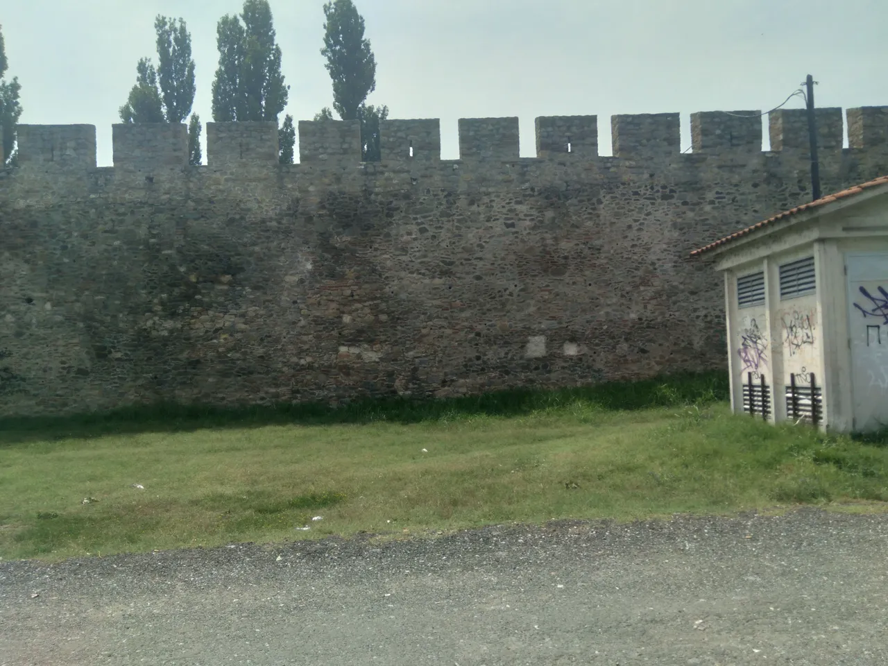 20210718_141408.jpg