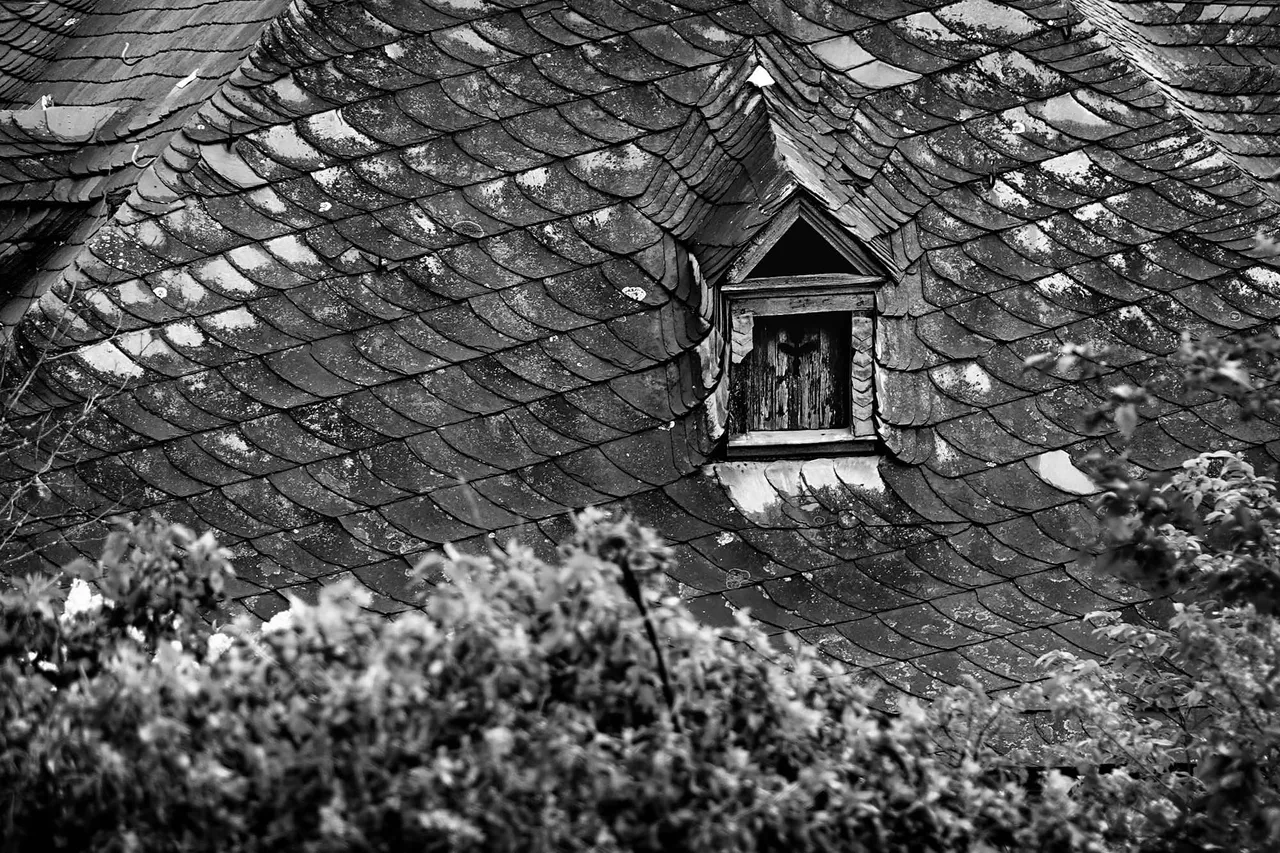 Roof1.jpg