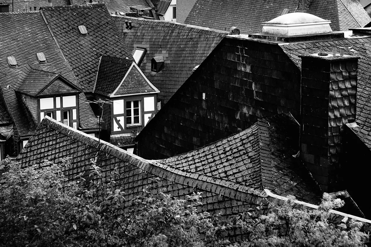 Roof8.jpg