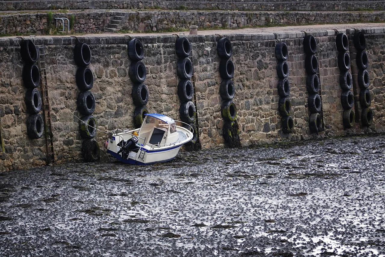 Roscoff1.jpg