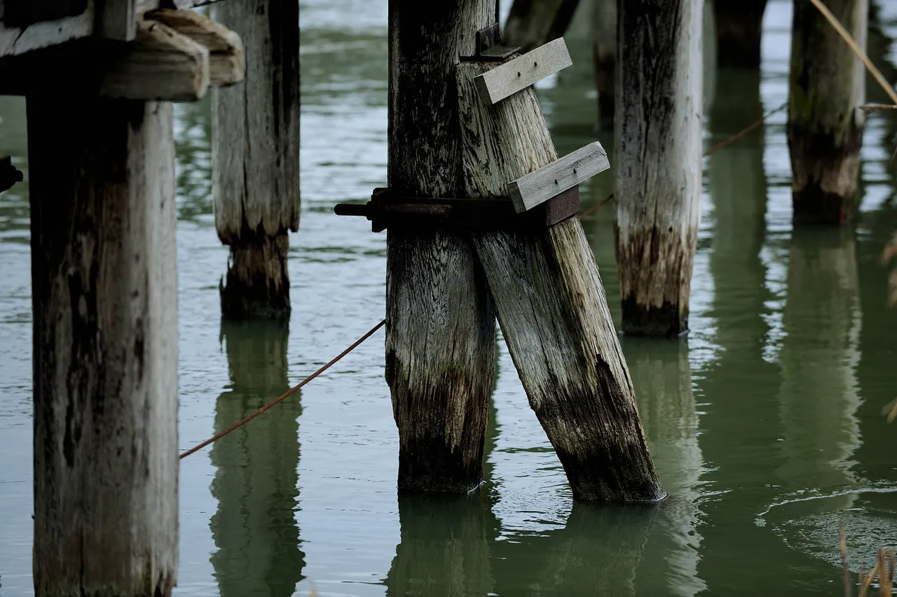 Jetty4.jpg