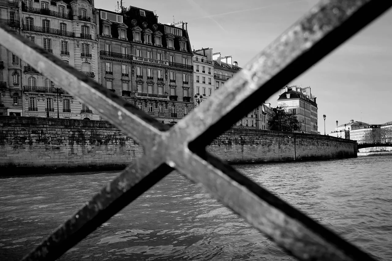Seine1.jpg