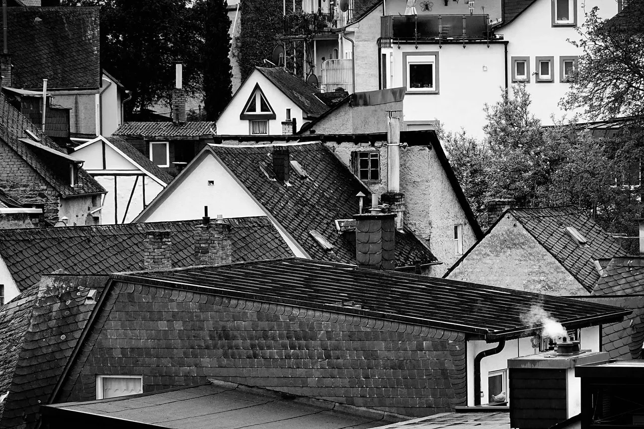Roof4.jpg