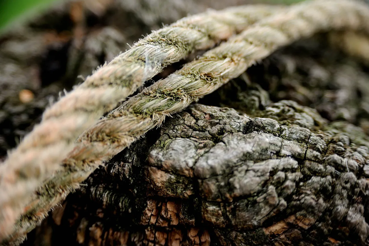 Details4.jpg