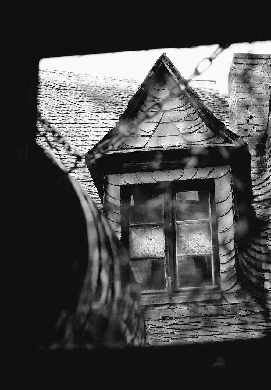 Roof5.jpg