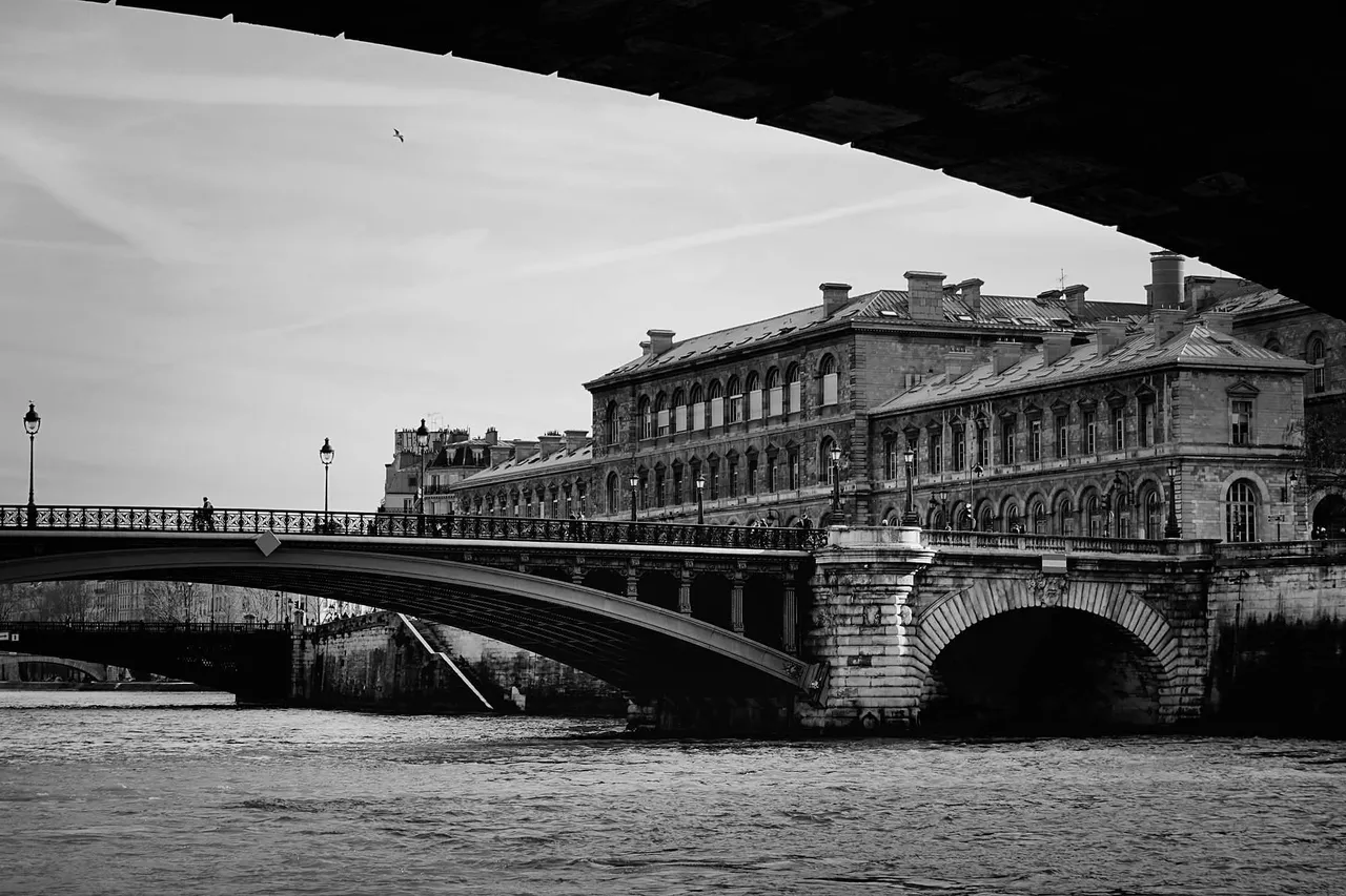 Seine4.jpg