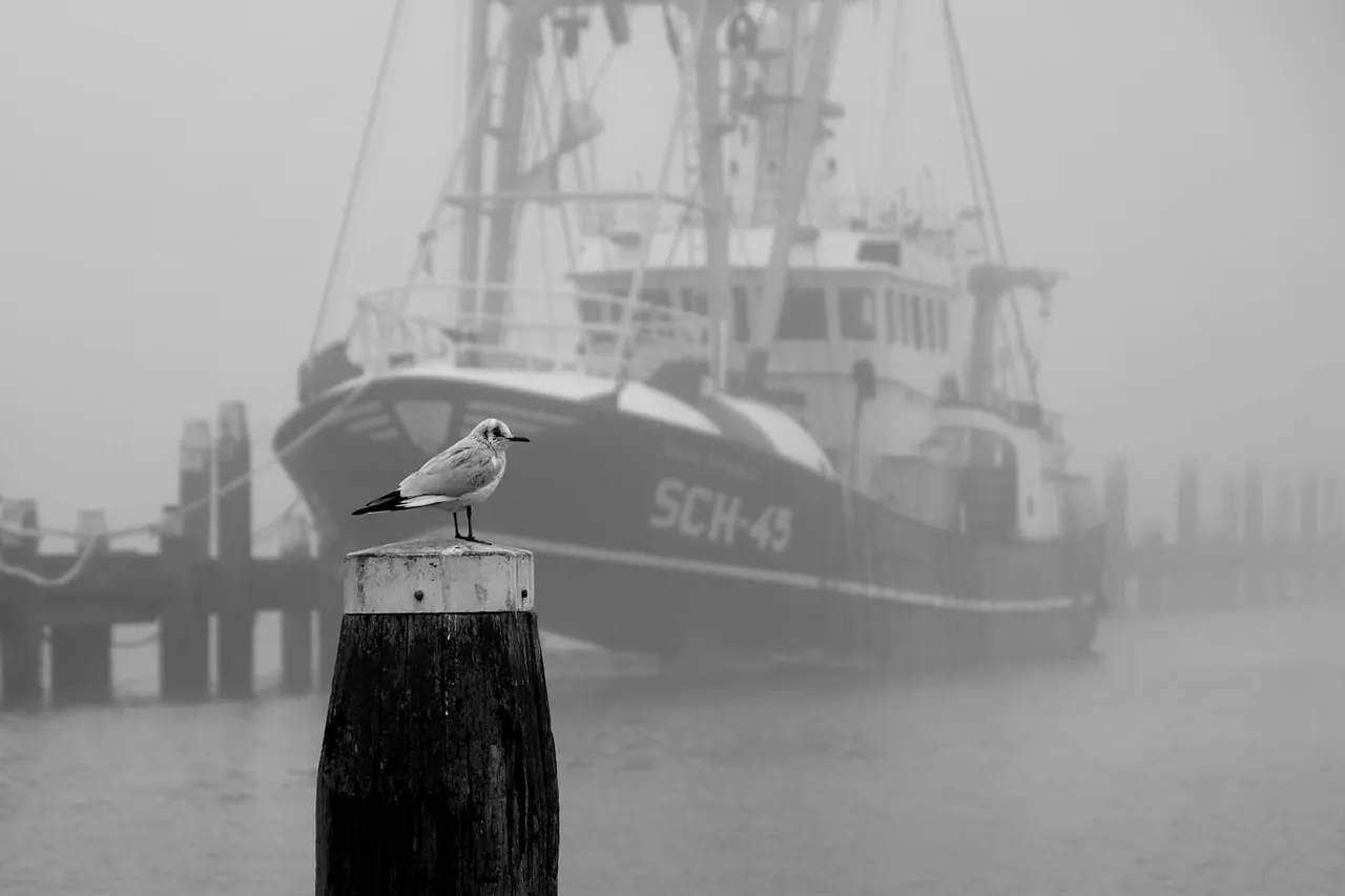 Bird1.jpg