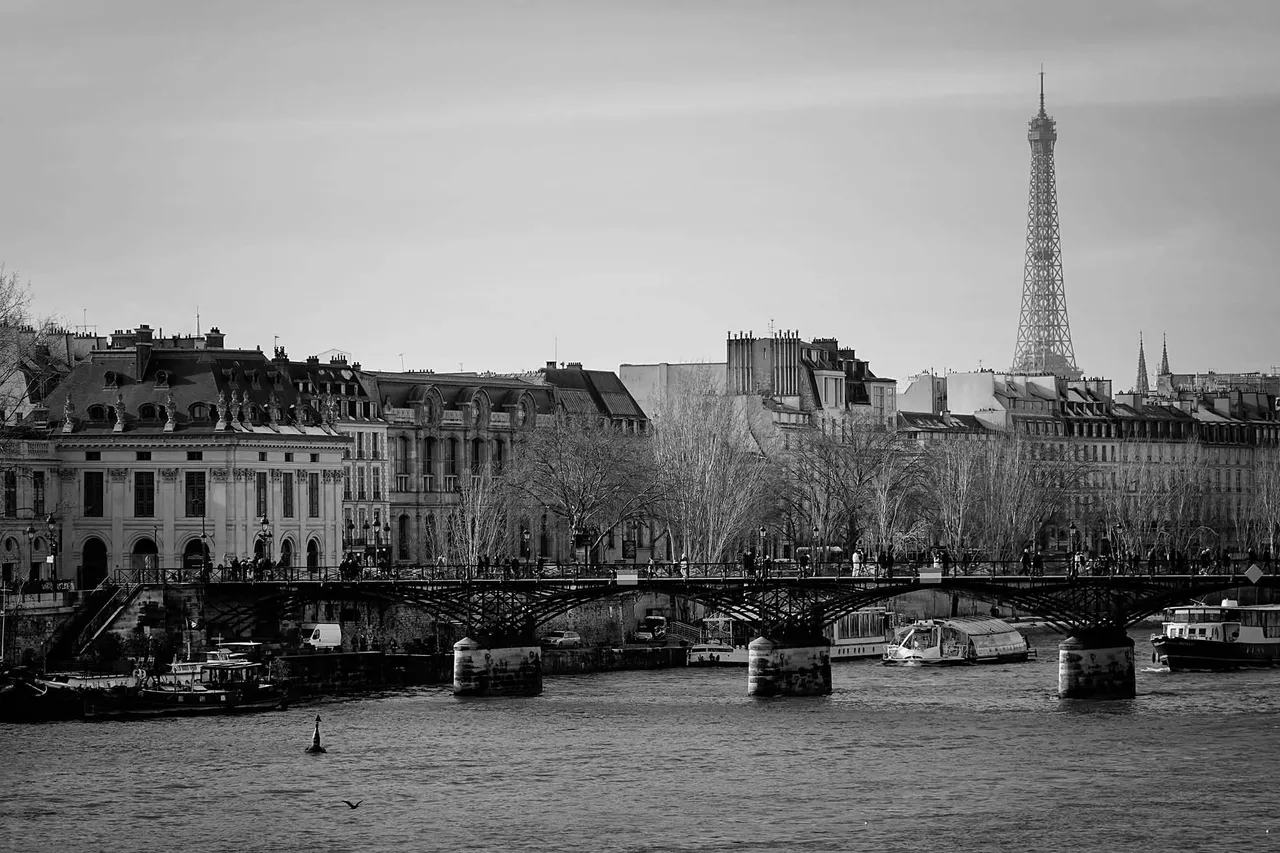 Seine6.jpg