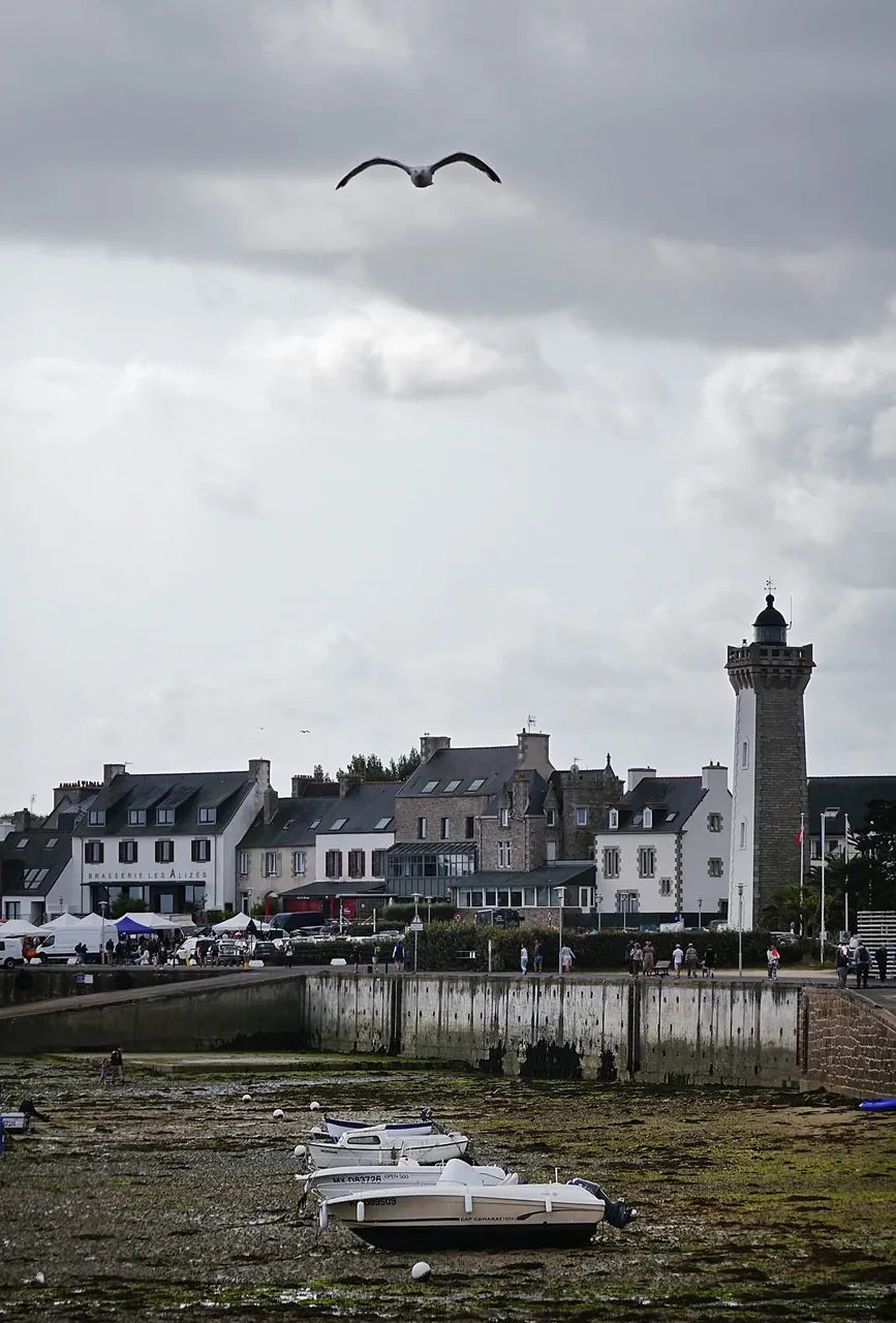 Roscoff2.jpg