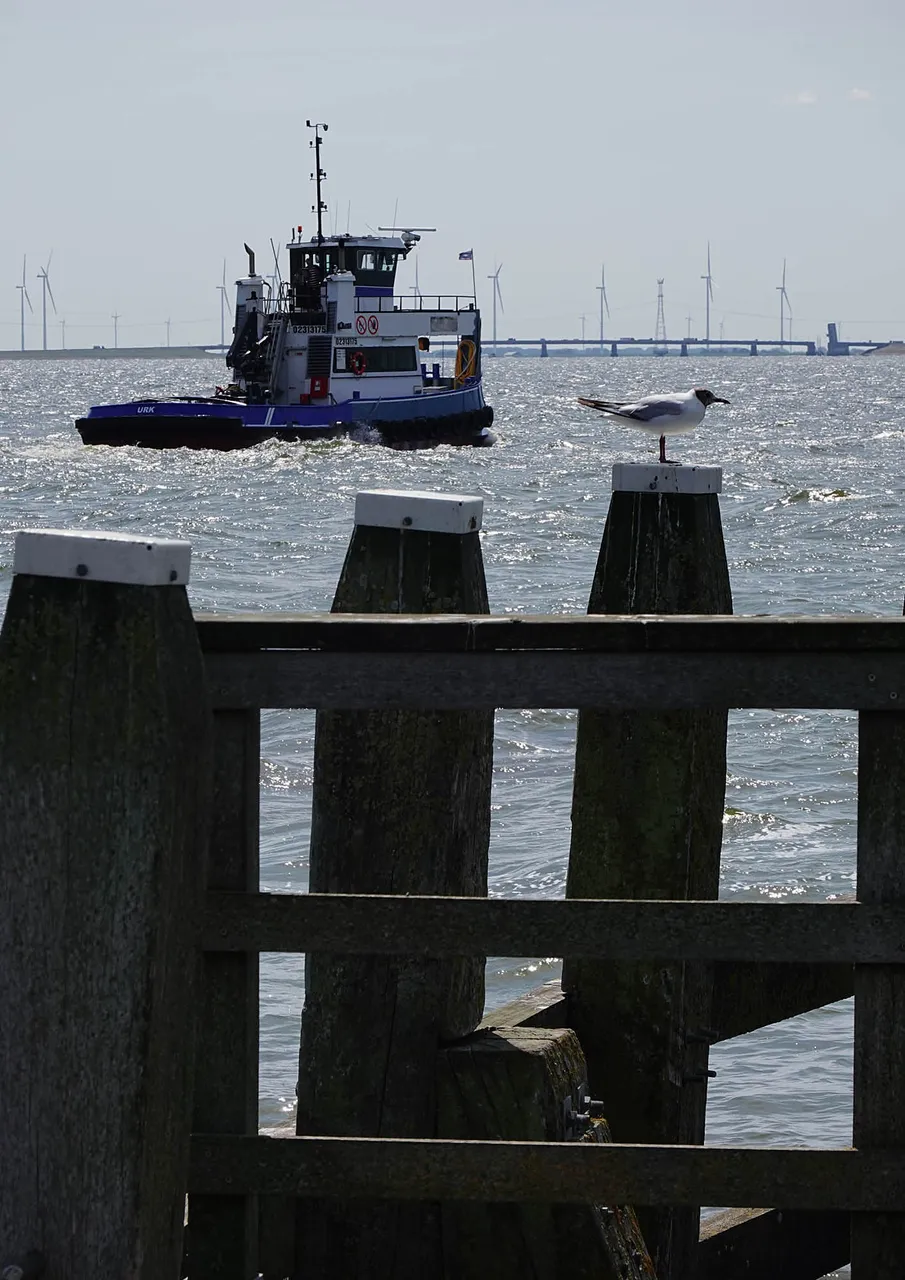 Urk8.jpg