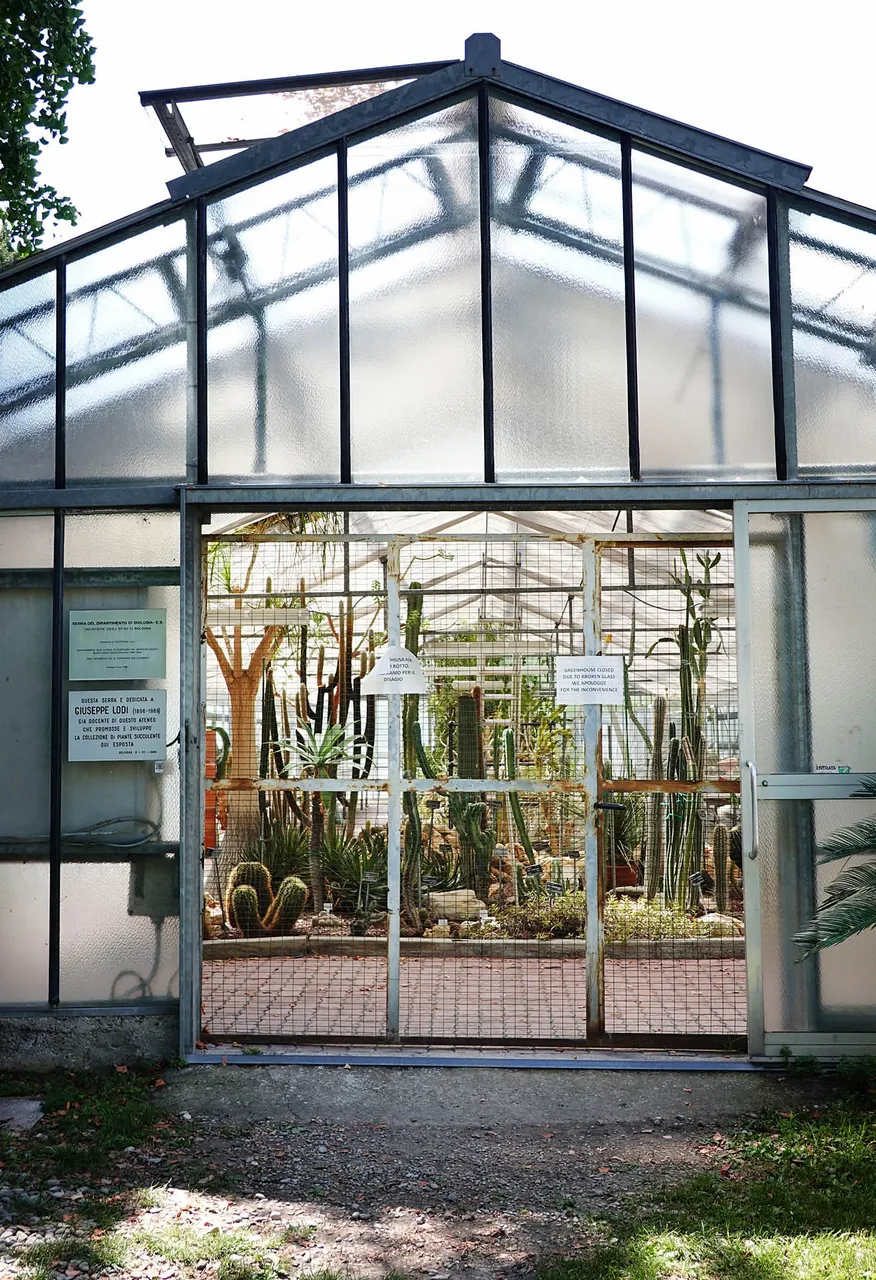 Hortus5.jpg