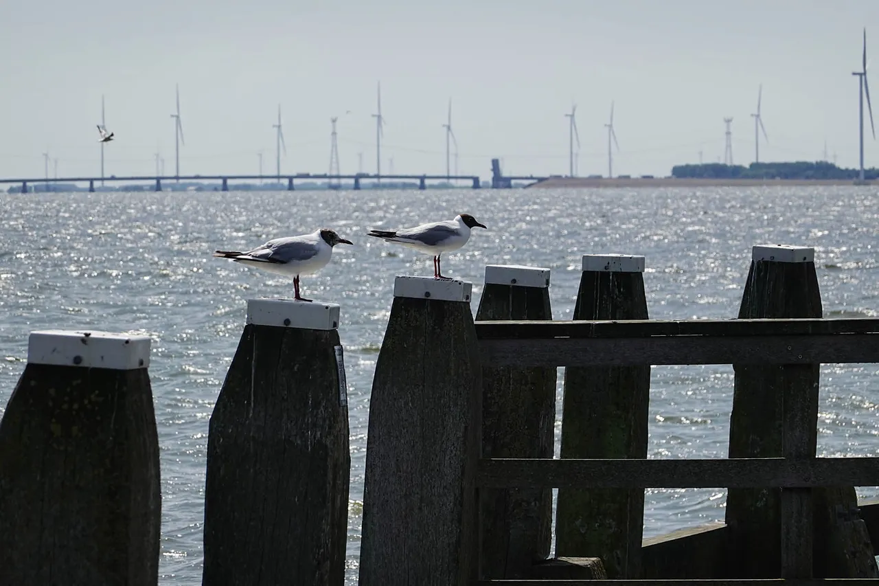 Urk3.jpg