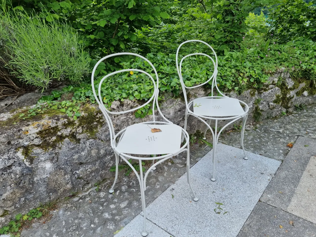 20230601_142238.jpg