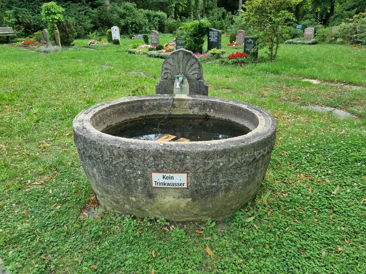 20230813_171126.jpg