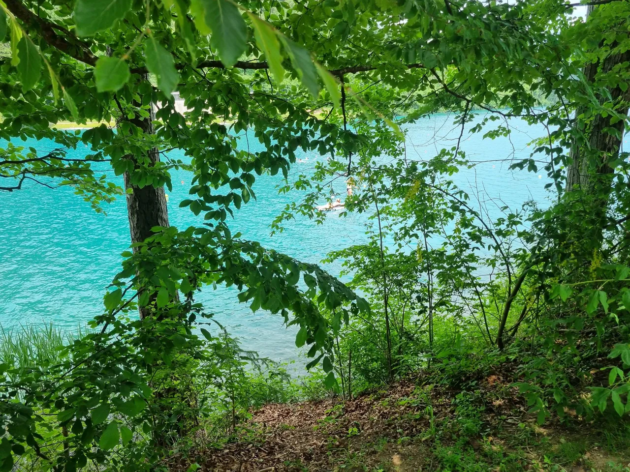 20230601_130556.jpg