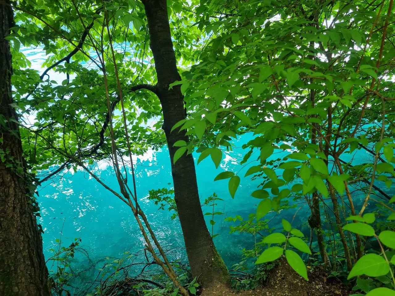 20230601_132904.jpg