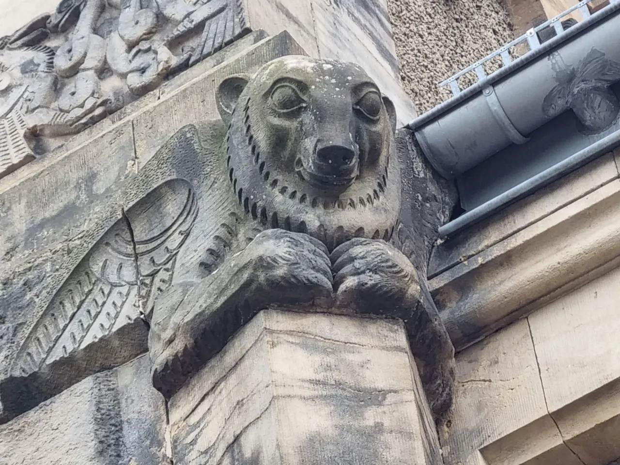 20230813_172731.jpg
