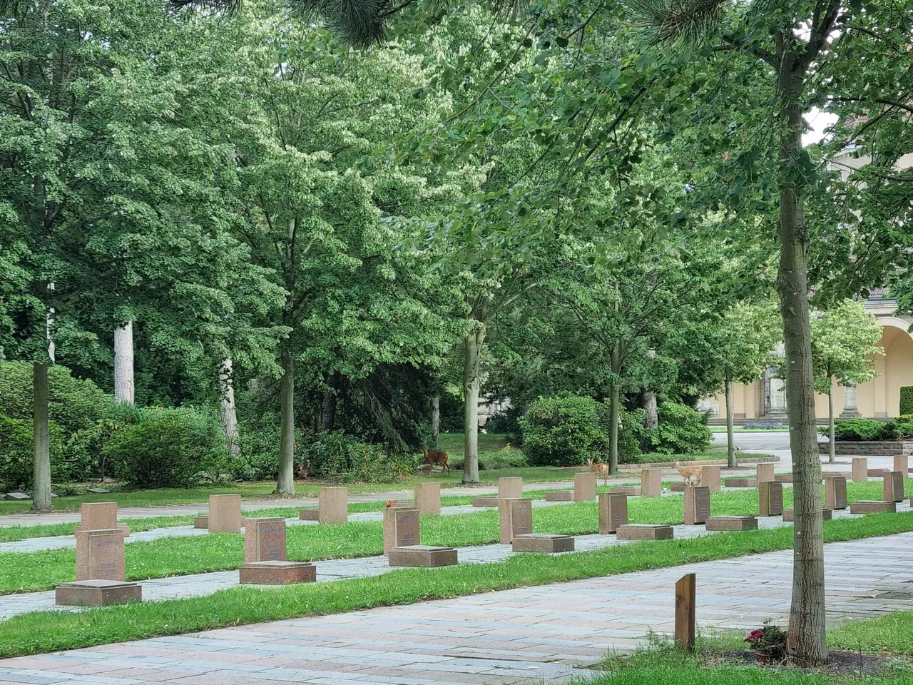 20230813_171351.jpg