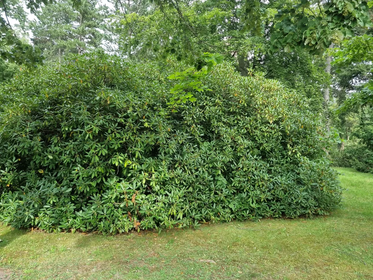 20230813_170446.jpg