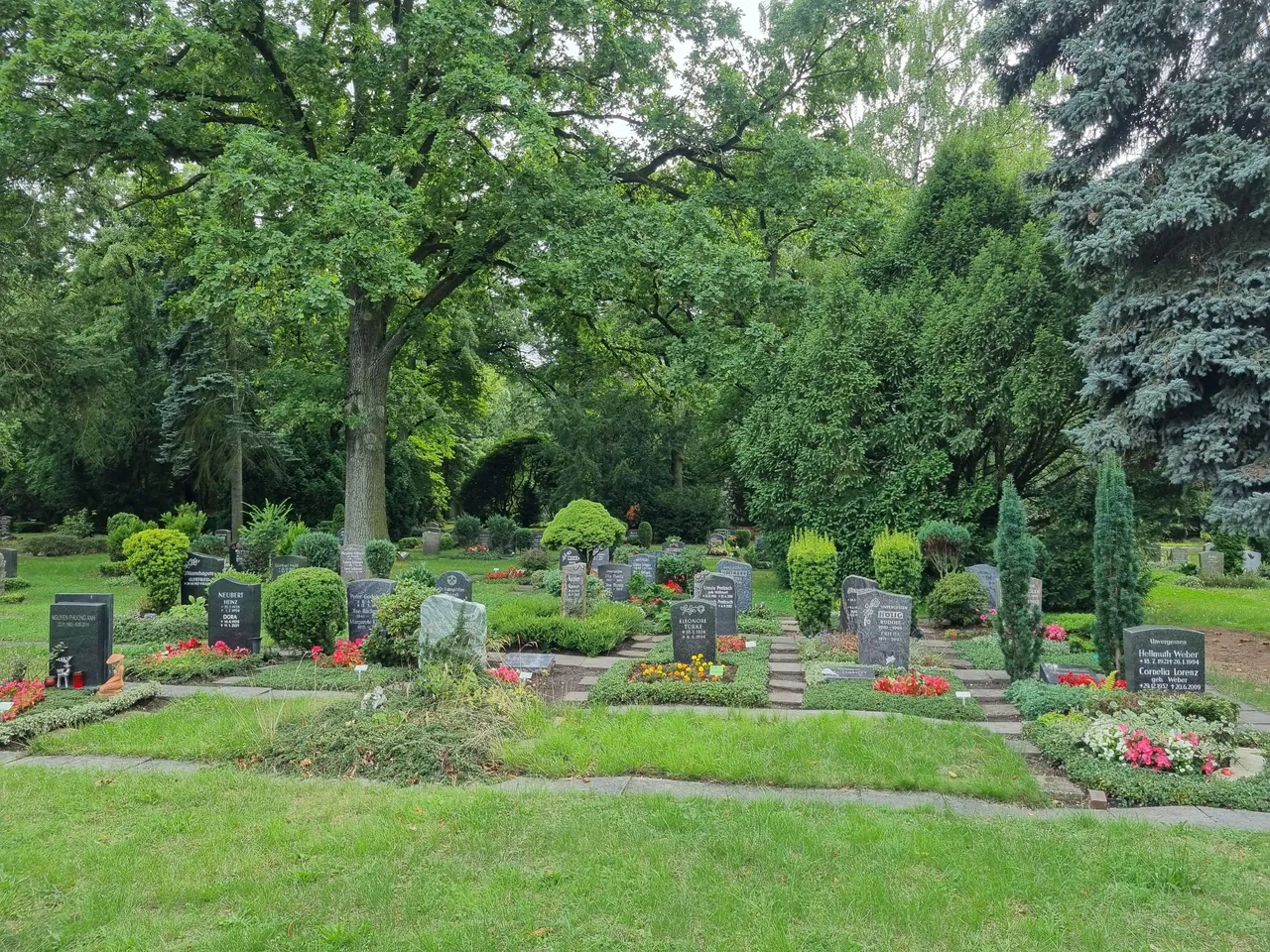 20230813_171213.jpg