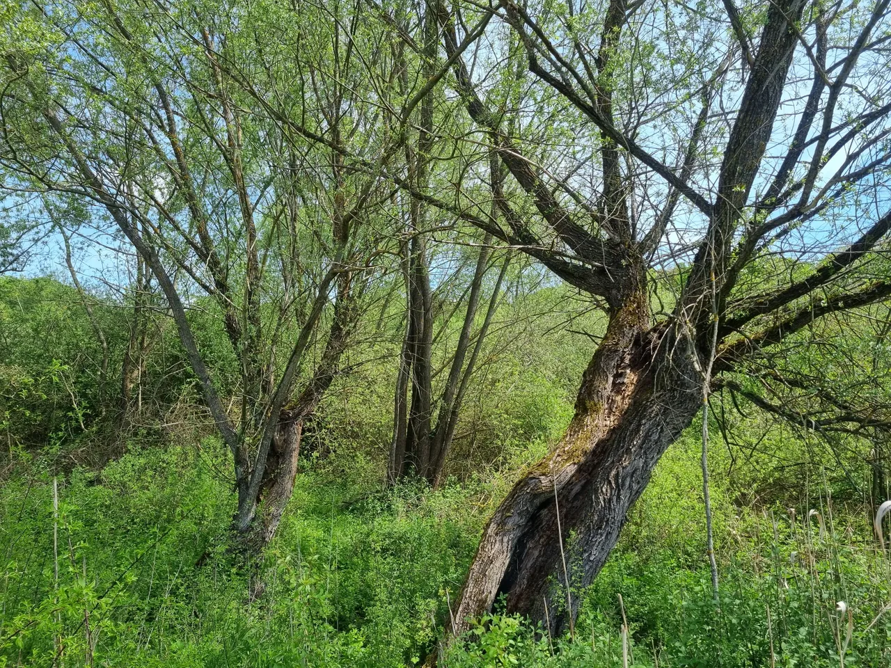 20230506_123212.jpg
