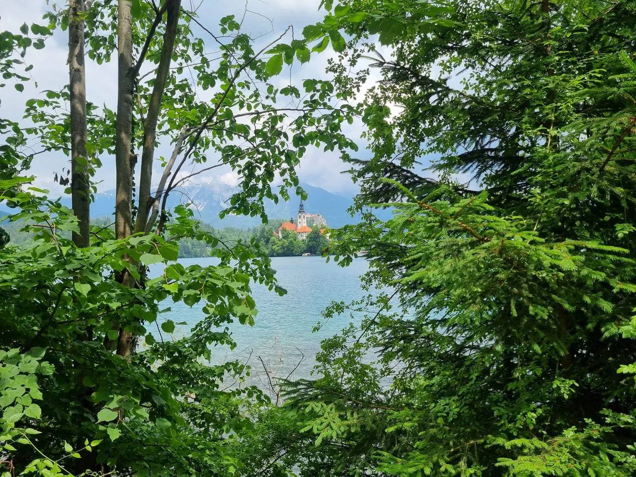 20230601_132005.jpg