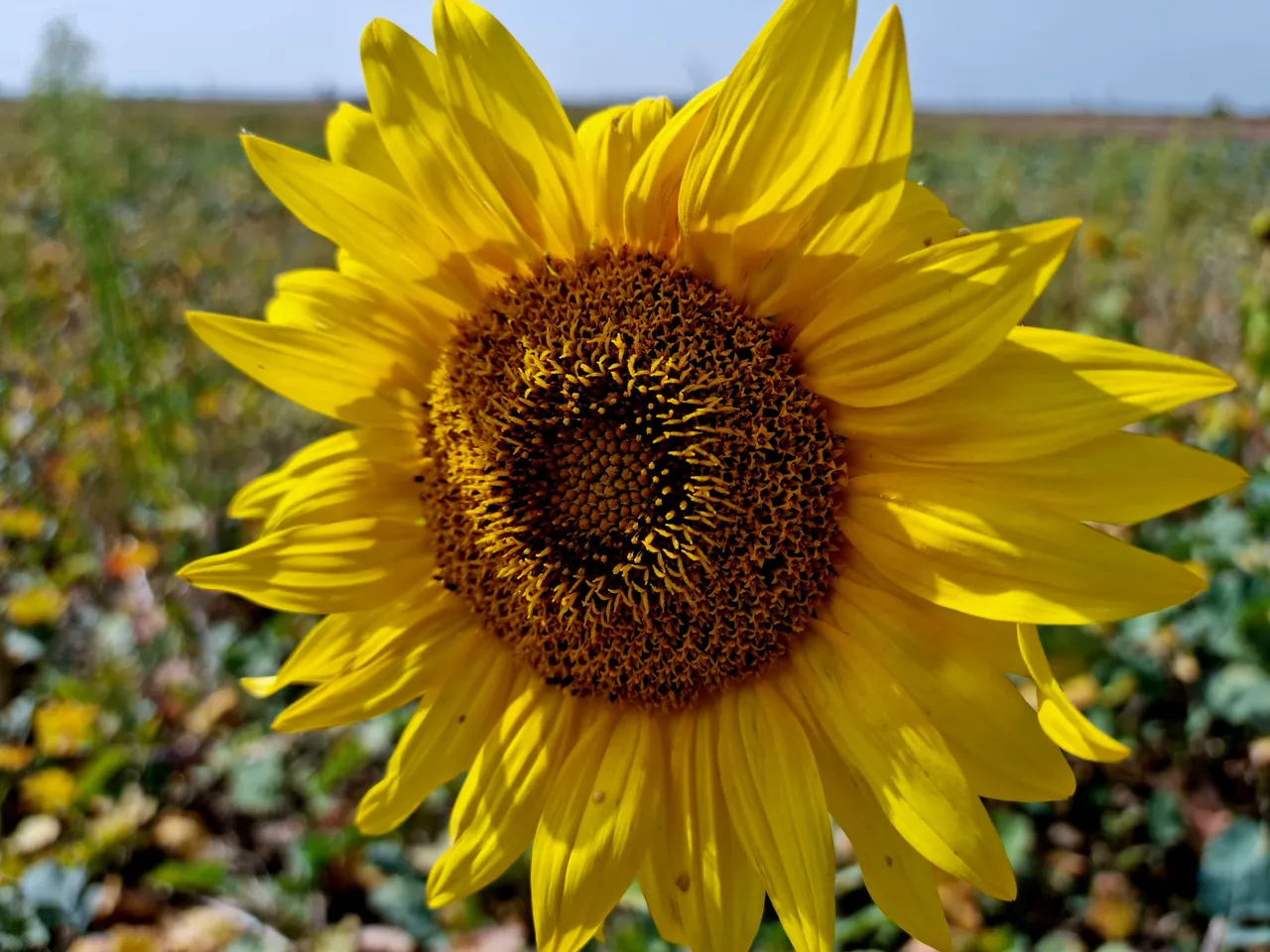 20230923_133720.jpg