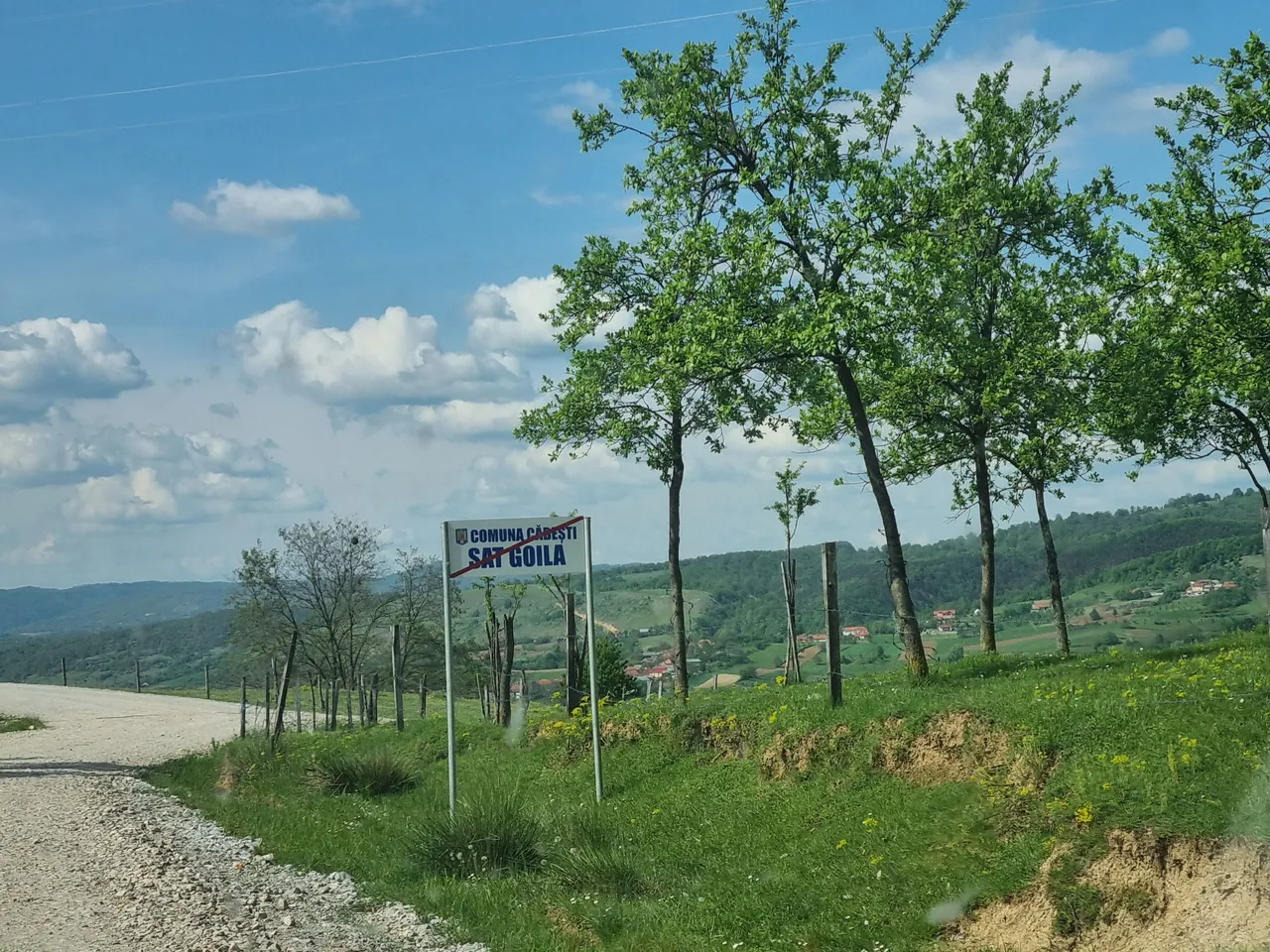 20230506_161409.jpg