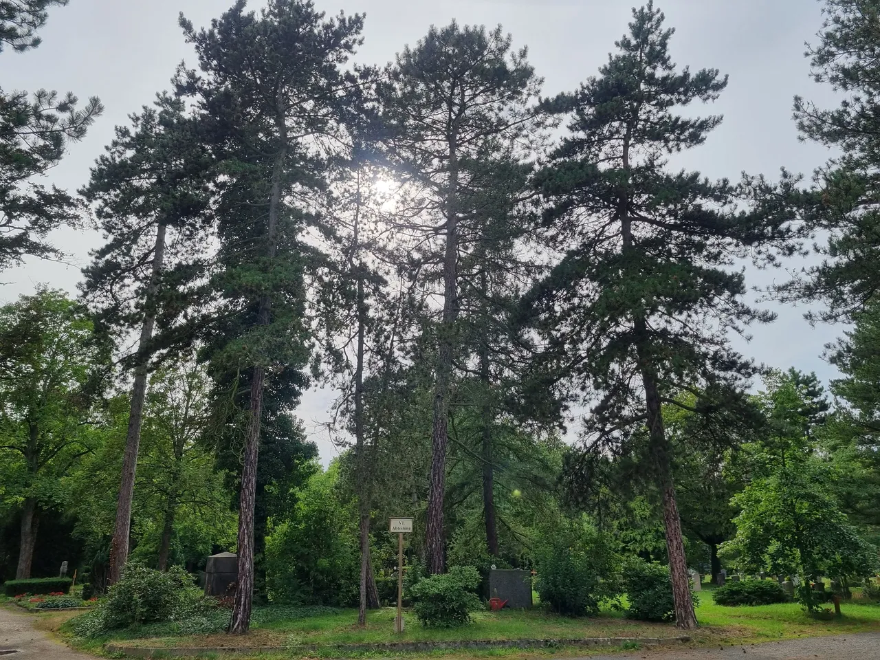 20230813_171428.jpg